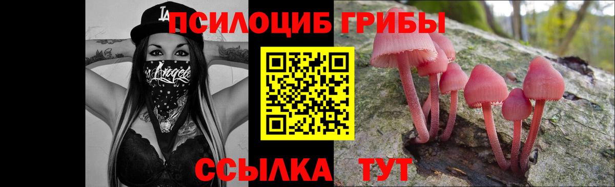 Городец  Псилоцибиновые грибы GOLDEN TEACHER  Вход с VPN  Псилоцибиновые грибы Psilocybine cubensis 