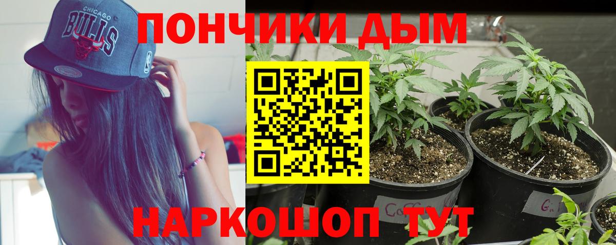 Шишки марихуана марихуана  Бошки Шишки ГИДРОПОН  Вход с VPN  Марихуана тримм  Городец 